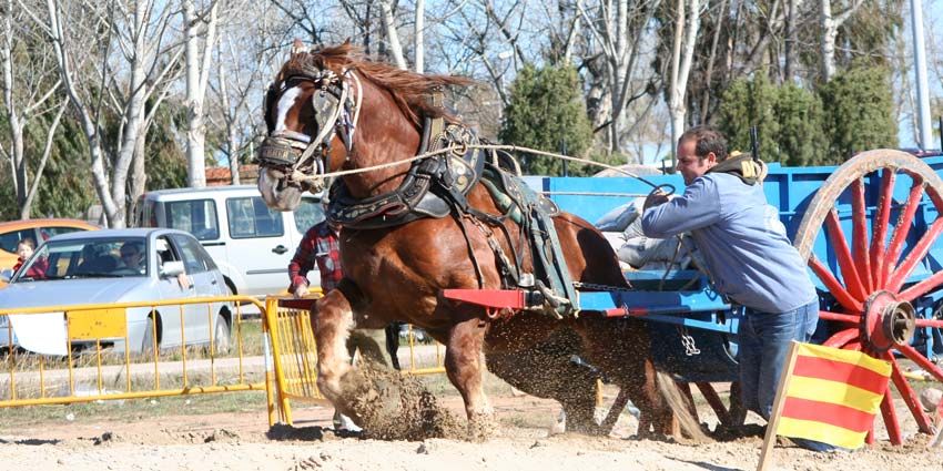 tiro y arrastre